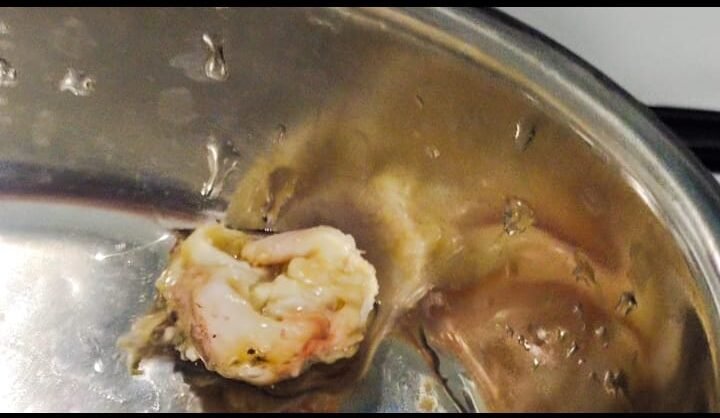 WhatsApp Image 2023-04-04 at 4.58.00 PM