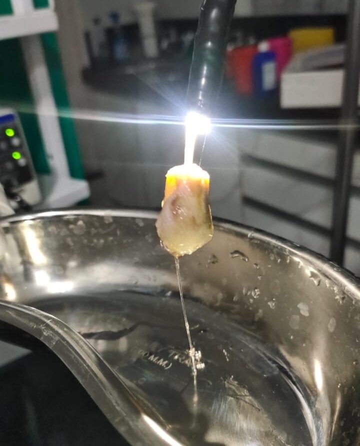 WhatsApp Image 2023-04-04 at 4.58.01 PM (3)