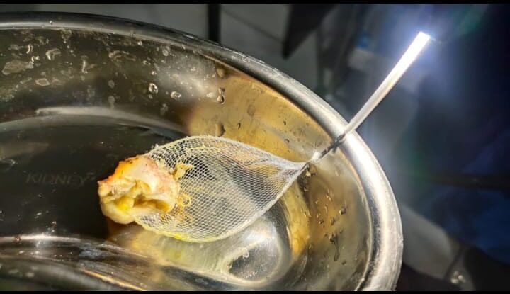 WhatsApp Image 2023-04-04 at 4.58.01 PM