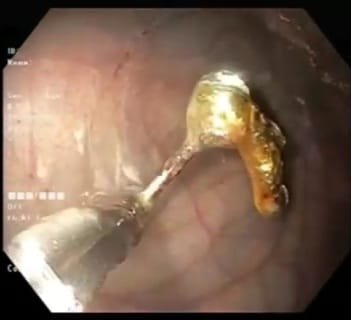 WhatsApp Image 2023-04-04 at 4.58.03 PM (1)