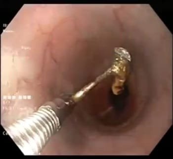 WhatsApp Image 2023-04-04 at 4.58.03 PM (2)